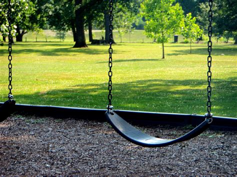  The Swing : Un Monument à la Joie Éphémère et aux Souvenirs d'Enfance !