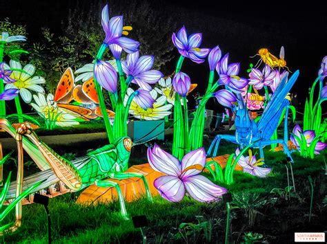 Le Jardin Enchanté : Un Jeu de Lumières et d'Ombres Dans le Monde Miniaturisé de Ismail Gulgee